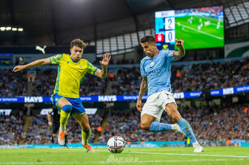 动员们努力 动员们努力